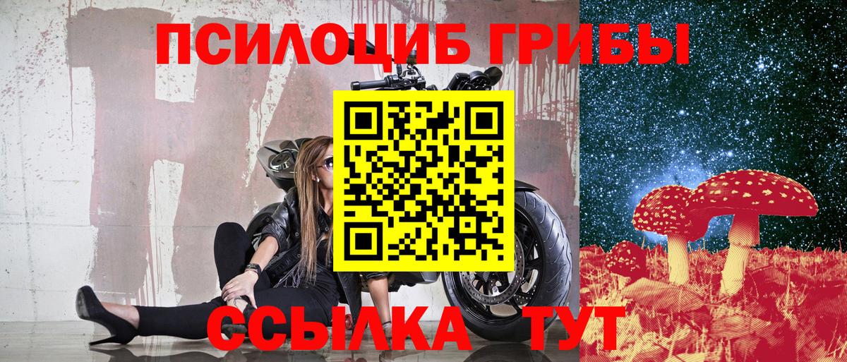 Псилоцибиновые грибы прущие грибы  Вход с VPN  Касимов  Галлюциногенные грибы GOLDEN TEACHER 
